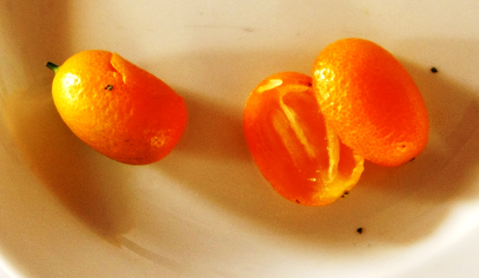 kumquat.jpg