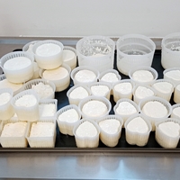 Workshop výroba sýrů